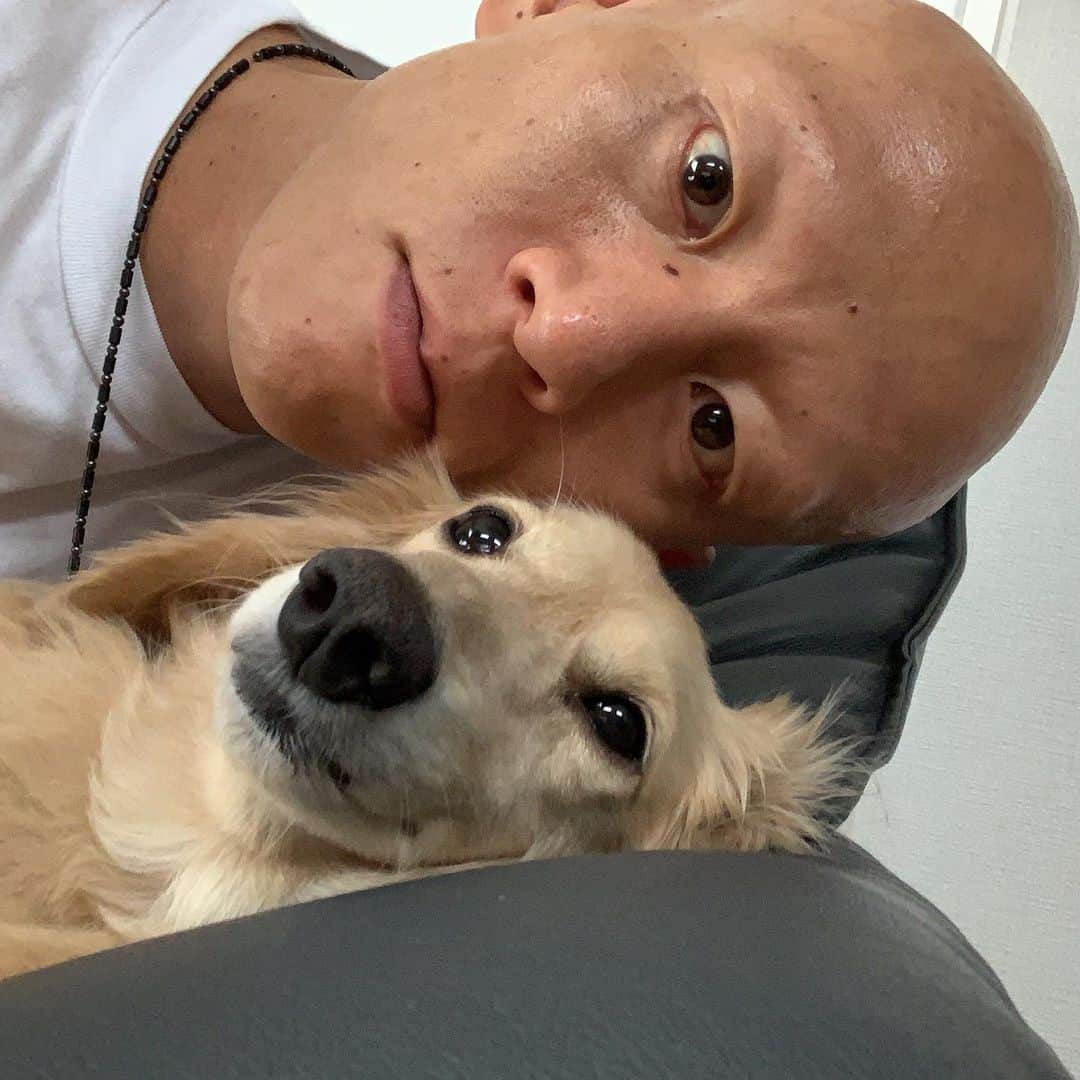 阿部友和さんのインスタグラム写真 - (阿部友和Instagram)「犬の日🐶 #ダンク」11月1日 23時01分 - tomokazu_abe