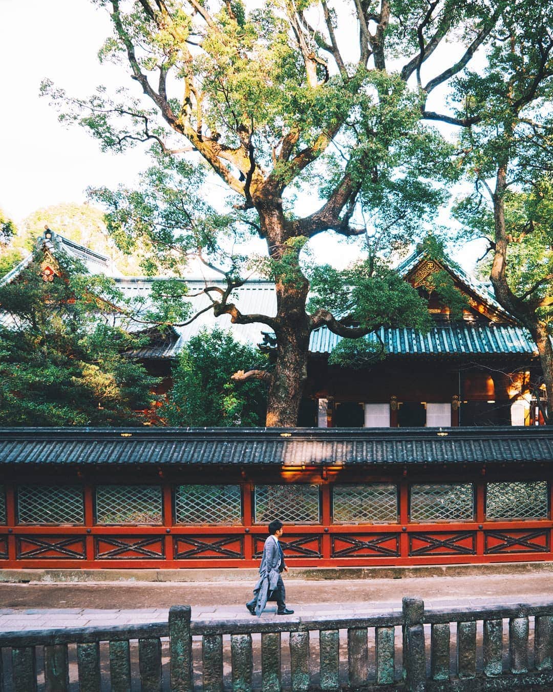 福田洋昭のインスタグラム：「根津神社デイタイム @tokyotokyooldmeetsnew にて20 Cheers for Tokyo開催中、みなさんもご参加ください。#TokyoTokyo #20CheersforTokyo  #daytime #tokyotokyooldmeetsnew #pr」