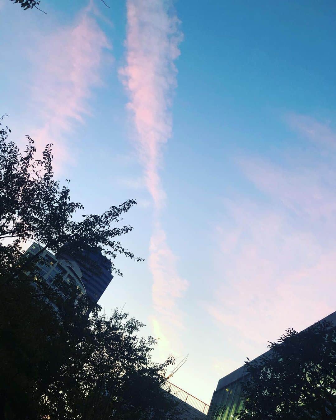 のインスタグラム：「秋空！ ピンク色の雲が綺麗なある日の夕方です。赤坂ACTシアター辺りです^_^  さて昨日は花組新人公演を観劇しました。  実はまだ本公演を観ておらず、尚且つ本役がそれぞれ誰かも敢えて把握していない状況での観劇。  もう、ひたすら感動して泣いちゃいました。  脚本と向き合い、偉大な先輩たちの背中を毎日穴が開くまで必死に見つめてくらいつき、全然届かないと思いながらもやるしかない。 たった一回の為に今の自分の持てる力をぶつける！ 改めて新人公演って大変だけどなんて素晴らしい制度なんだと感じました。  自分の時は無我夢中だったけど、  今の下級生はなんてみんなあんなに達者なんだろう。すごい！ １つの作品として頭から最後まで見入ってしまいました。 でもその裏にたっくさんの努力と挫折との繰り返しがあるんだろうなー。  みりりん率いるいまの花組で学べて下級生は幸せだなぁと感じ、 また今日から頑張ろうと抱えきれないパワーを沢山もらいました。幸せ！」