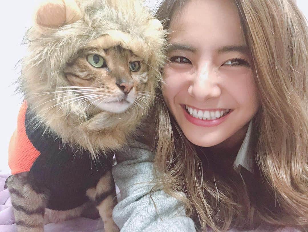 佐野千晃さんのインスタグラム写真 - (佐野千晃Instagram)「こたさんとコスプレ〜🦁﻿ ﻿ 可愛すぎてニヤニヤが止まりません。﻿ ﻿ そんなニセJKはヤンキーとかスケバンとか黒ギャルとか言われまくって凹んでます。﻿ ﻿ #natural #healthy #good #gilrs #gilr #cool #cute #ooted #selfie #self #face #スポーツ女子 #スポーツ #ハワイ #笑顔 #ひまわり#コスプレ　#仮装　#猫　#ライオン　#可愛い」11月1日 15時43分 - sanochiaki810