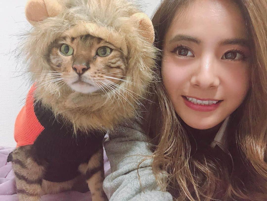 佐野千晃さんのインスタグラム写真 - (佐野千晃Instagram)「こたさんとコスプレ〜🦁﻿ ﻿ 可愛すぎてニヤニヤが止まりません。﻿ ﻿ そんなニセJKはヤンキーとかスケバンとか黒ギャルとか言われまくって凹んでます。﻿ ﻿ #natural #healthy #good #gilrs #gilr #cool #cute #ooted #selfie #self #face #スポーツ女子 #スポーツ #ハワイ #笑顔 #ひまわり#コスプレ　#仮装　#猫　#ライオン　#可愛い」11月1日 15時43分 - sanochiaki810