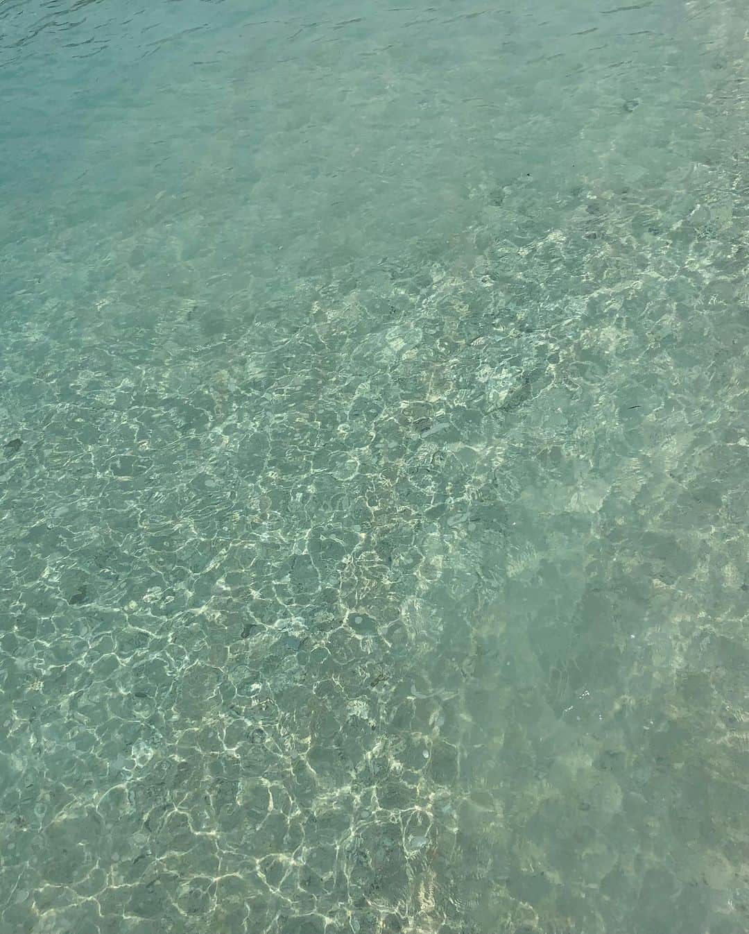 miniさんのインスタグラム写真 - (miniInstagram)「SEA TURTLE💎🐢💎 ギリトラワンガン島のタートルポイントでは、本当にこんな浅瀬にたくさん普通に泳いでるんだよー🐢 みんな海に揺られながら、海藻をムシャムシャ食べてた💚 バリ島のそこら辺のスーパーで買ったKIDS用のおもちゃのシュノーケルなので、めっちゃ🥽に水入ってる😂 魚もたくさんいるよ🐠 一回変な魚に脅されてビクッって、ビビってる私の動画もあるよw 本当こんなキレイな海毎日泳いでたいなぁ〜💎🐠🐢💎✨✨ ギリ島に行く時は、絶対海潜ってみてほしい🥺💎💎 #bali #trip #balitrip #gili #giliisland #giliislandtrawangan #gilitrawangan #trawangan #sea #ocean #seaturtle #turtle #turtlepoint #turtlespot #バリ島 #バリ #バリ旅行 #ギリ島 #ギリ #ギリトラワンガン #トラワンガン #ウミガメ #ウミガメと泳ごう」11月1日 16時08分 - mini.stagram