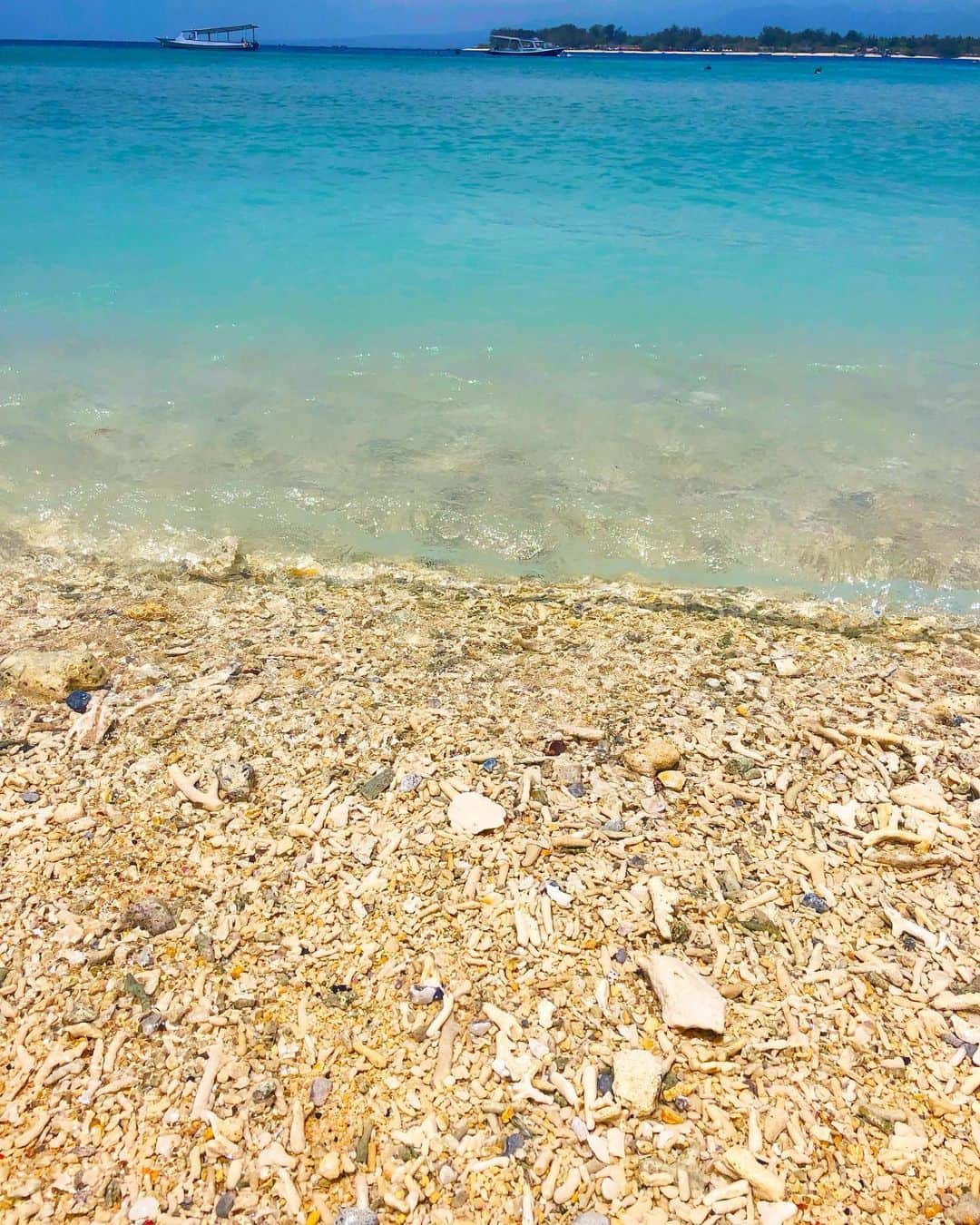 miniさんのインスタグラム写真 - (miniInstagram)「SEA TURTLE💎🐢💎 ギリトラワンガン島のタートルポイントでは、本当にこんな浅瀬にたくさん普通に泳いでるんだよー🐢 みんな海に揺られながら、海藻をムシャムシャ食べてた💚 バリ島のそこら辺のスーパーで買ったKIDS用のおもちゃのシュノーケルなので、めっちゃ🥽に水入ってる😂 魚もたくさんいるよ🐠 一回変な魚に脅されてビクッって、ビビってる私の動画もあるよw 本当こんなキレイな海毎日泳いでたいなぁ〜💎🐠🐢💎✨✨ ギリ島に行く時は、絶対海潜ってみてほしい🥺💎💎 #bali #trip #balitrip #gili #giliisland #giliislandtrawangan #gilitrawangan #trawangan #sea #ocean #seaturtle #turtle #turtlepoint #turtlespot #バリ島 #バリ #バリ旅行 #ギリ島 #ギリ #ギリトラワンガン #トラワンガン #ウミガメ #ウミガメと泳ごう」11月1日 16時08分 - mini.stagram