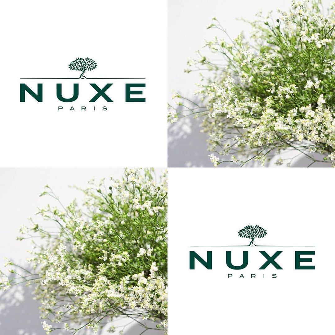 Nuxe Japanさんのインスタグラム写真 - (Nuxe JapanInstagram)「.﻿ ﻿ ニュクス（NUXE）は1957年に誕生し、世界中の女性のハートを掴でいるフランスのナチュラル スキンケア ブランド。﻿ 自然から生まれた植物成分を配合し、成分にこだわりながらも繊細かつ心地のよいテクスチャー、香りなど五感にも嬉しい時間を提供します✨﻿ ﻿ ニュクスのベストセラー商品であるプロディジュー オイルはフランスで売上No.1の１本で髪、肌、ボディに使えるマルチ美容オイルです。﻿ のちに販売を開始したレーブドミエル リップバームも大ヒットとなり売上No.1を記録。﻿ ﻿ そんな多くの女性に愛されている、ニュクスの自然派コスメたちをぜひお試しあれ・・・♡﻿ ﻿⠀ ⠀ @nuxe_japan ﻿⠀ ﻿⠀ #NUXE #NUXE_jp #ニュクス #プロディジュー #プロディジューオイルリッチ #ドライオイル #ボディオイル #ヘアオイル #オイル #スキンケア #ボディケア #オイル美容 #マルチオイル #コスメマニア #ヘアケア #エイジングケア #ナチュラルコスメ #保湿 #美容ケア #美容液 #艶肌 #美容 #コスメ大好き #コスメ #コスメ紹介 #肌ケア #秋コスメ #秋コスメ2019 #おすすめコスメ #cosmetics」11月1日 16時34分 - nuxe_japan