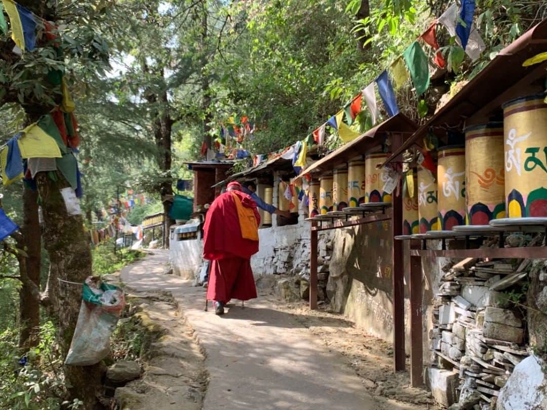 Leslie Camila-Roseのインスタグラム：「Dharamshala 🙏 Home of His Holiness The Dalaï Lama. . . . . . . #dharma #dalailama #himalayas」