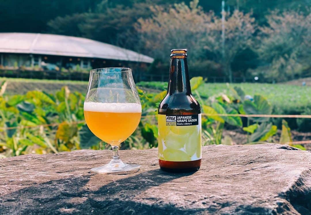 FAR YEAST BREWINGのグルメインスタ