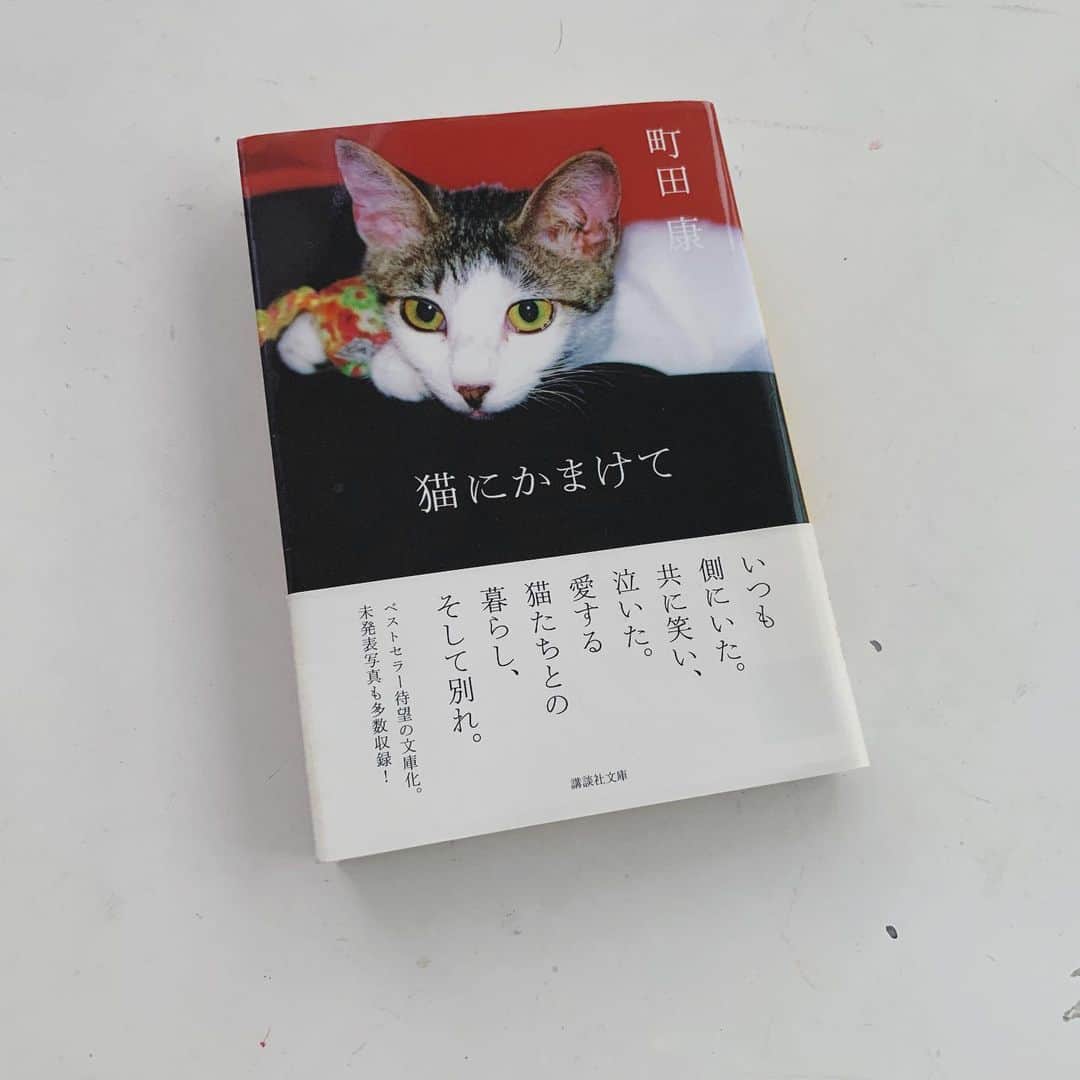 小谷実由さんのインスタグラム写真 - (小谷実由Instagram)「全猫暮らし人は必読という感じ。何度も笑わされ、何度も泣かされました。本当は目を背けたくなるような辛い描写も、涙で読めないくらいになっても読み進めちゃうのは、書き手の美しい気持ちがこもった文章だからと思います。表紙、よく見たらベロ出てる👅 #町田康 #猫にかまけて #おみゆ本棚」11月1日 16時50分 - omiyuno