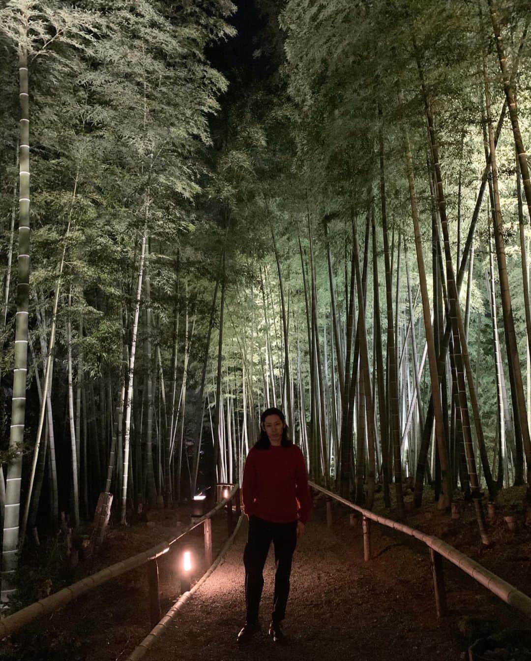 小林尊のインスタグラム：「I’m a night panda in the lonely bamboo grove. 竹林の夜中パンダ  #京都 #kyoto」
