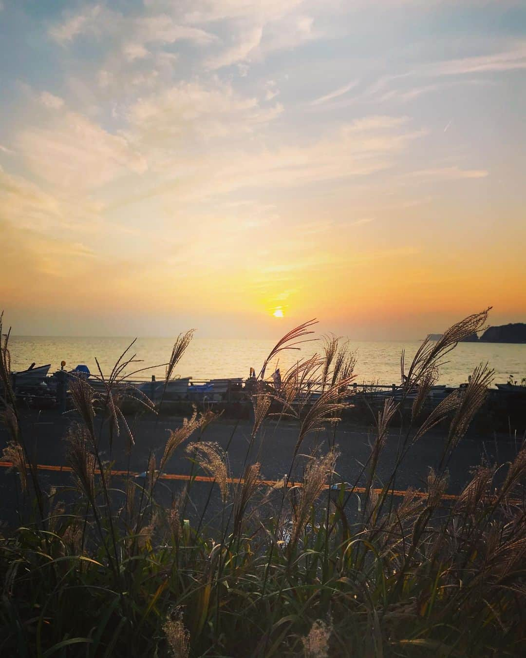 美川憲二さんのインスタグラム写真 - (美川憲二Instagram)「秋の海よ〜☺️🌊🌊🌊🌊🌊🌊 由比ヶ浜からのサンセットが綺麗です〜😍🌅✨✨✨✨💕💕💕💕 #由比ヶ浜サンセット  #秋の海も素敵  #海とすすきと夕陽 #ほっこりタイム  #美川憲二 #ものまね」11月1日 17時20分 - mikawakenji