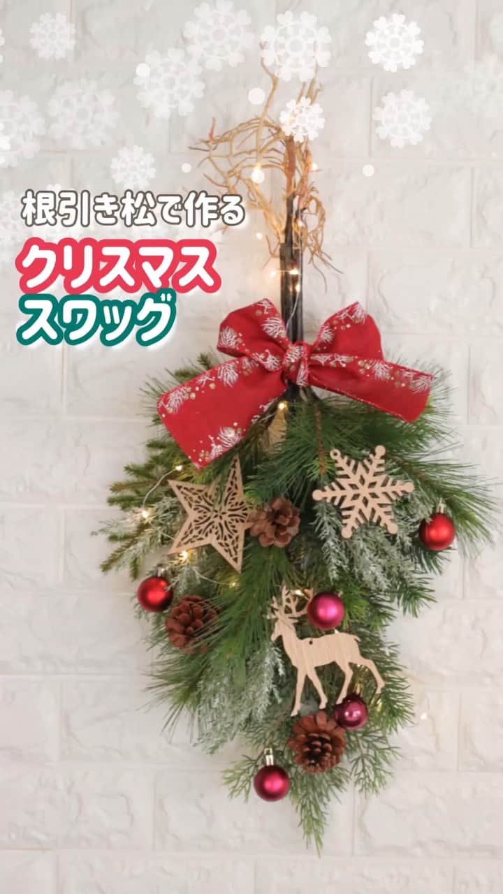 東京堂アーティフィシャルフラワーMAGIQのインスタグラム：「根引松を使った、 ２WAYアレンジのご紹介です。 正月飾りの根引松を使って、 個性的なクリスマススワッグを作ります。 クリスマス🎄が終わったら、 お正月飾り🎍を作りましょう！ ・ ・ お正月飾りの作り方は、 ‪１１月８日(金)のＩＧＴＶにて‬ 配信いたします。 ・ ・ ぜひご覧ください。 ・ ・ 【材料】 ～アーティフィシャル～ JV2020 根引松・中  JV2021 根引松・小　 FX1559 スリムパインスプレー FX1858 サイプレスベリースプレーM FX876 ウォッシュシダーピック XV6555 モッシュグリーンスプレー DO24191 ⓪ 松カサ ステム付き小 ・ ～資材～ RX120 レーベン（リボン） XO1519 ウッデンナチュラルオーナメント XB2030 ③ アステルボール ・ ・ ・  #TOKYODO#MAGIQ#MAGIQのある暮らし#東京堂#アーティフィシャルフラワー#アーティフィシャル#アートフラワー#造花#花のある暮らし#花のある生活 #花好きな人と繋がりたい#クリスマスツリー#フラワーアレンジメント#フラワーアレンジ#アレンジメント#花が好き#クリスマス#クリスマスツリー#artificial#artificialflower #flowerofinstagram #flowersoninstagram#winterflowers #花藝#插花#花藝課#保鮮花#不凋花#꽃스타그램#christmas#スワッグ」