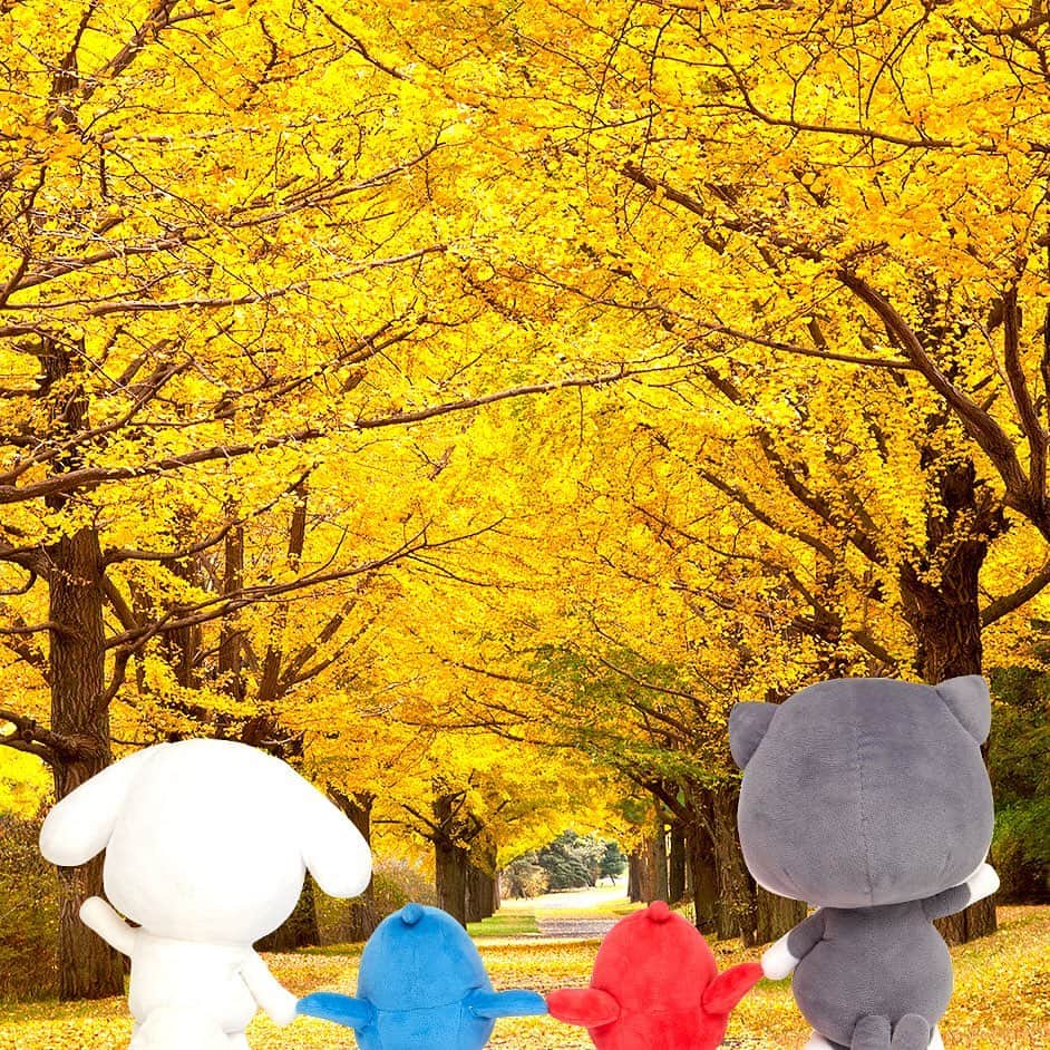 ダスキン ダス犬【公式】さんのインスタグラム写真 - (ダスキン ダス犬【公式】Instagram)「黄金色のイチョウ並木をお散歩。手をつないで、みんなで秋を満喫♪ #お空も道もイチョウの葉でいっぱい #この時期だけの風景 #忘れられない思い出になるね」11月1日 17時49分 - dusken_official