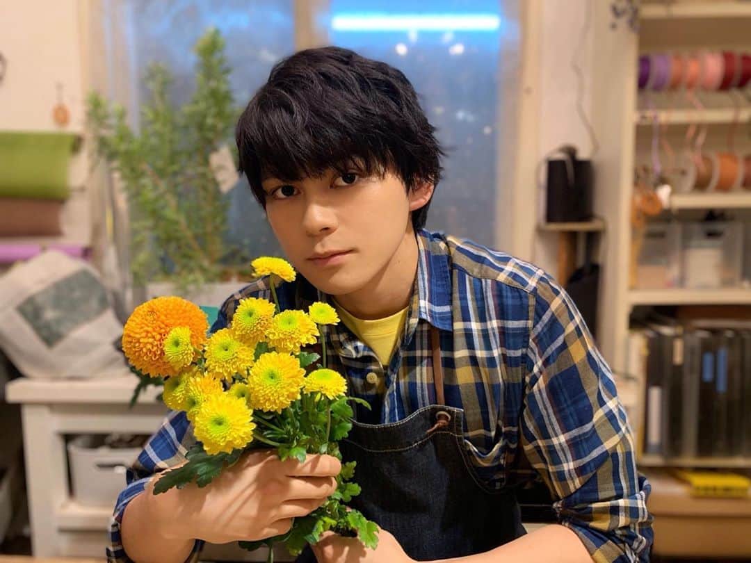 映画『午前0時、キスしに来てよ』のインスタグラム：「﻿ ＼💍WEEKENDGORDON×WEEKENDFLOWER💐／ ﻿ ﻿ 映画0キスで、お家がお花屋さんの「あーちゃん」を演じるゴードンさんから週末おすすめのお花をご紹介❣️﻿ ﻿ 今週はマム⭐️ マムとは「菊」の英名「Chrysanthemum」の略で、"黄金の花"という意味。 「菊」は日本の国花でもあるんです🌼﻿ ﻿ ゴードンさんも気にされていた花言葉はコチラ‼✨ 「高貴」「あなたを愛します」 ﻿ ﻿ 黄色のポンポン咲きのスプレーマムは「ジェニー」 オレンジの丸いマムは「ボンボンオレンジ」 とそれぞれ可愛い名前も💕﻿ ﻿ そして11月6日は1106の語呂合わせで「いいマムの日」✨﻿ ﻿ ぜひお花屋さんにチェックしに来てよ😚🙌🏻﻿ ﻿ #マム #weekendflower #WEEKENDGORDON #flower #花と素敵な週末を ﻿ #お花屋さん #あーちゃん #ゴードン #眞栄田郷敦 #あーちゃん家の花屋の名前はルーシーグレイ #ルーシーグレイ ﻿ #午前0時キスしに来てよ #12月6日公開﻿ #0キス #映画0キス #0kiss  #ゼロキス」