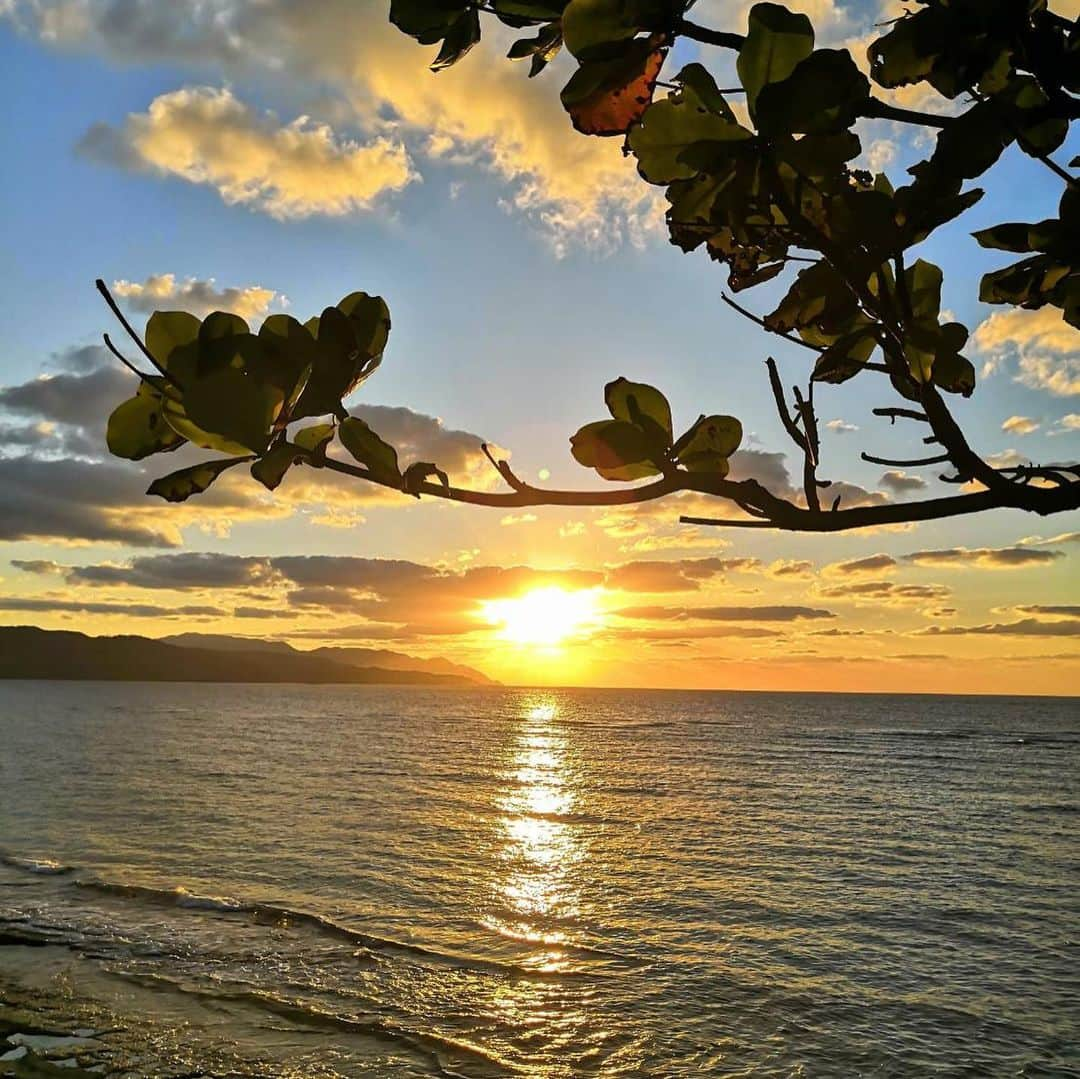 アレックス・ラミレスさんのインスタグラム写真 - (アレックス・ラミレスInstagram)「Amazing place here in Amami Oshima, relaxing place after training camp!」11月1日 19時03分 - ramichan3