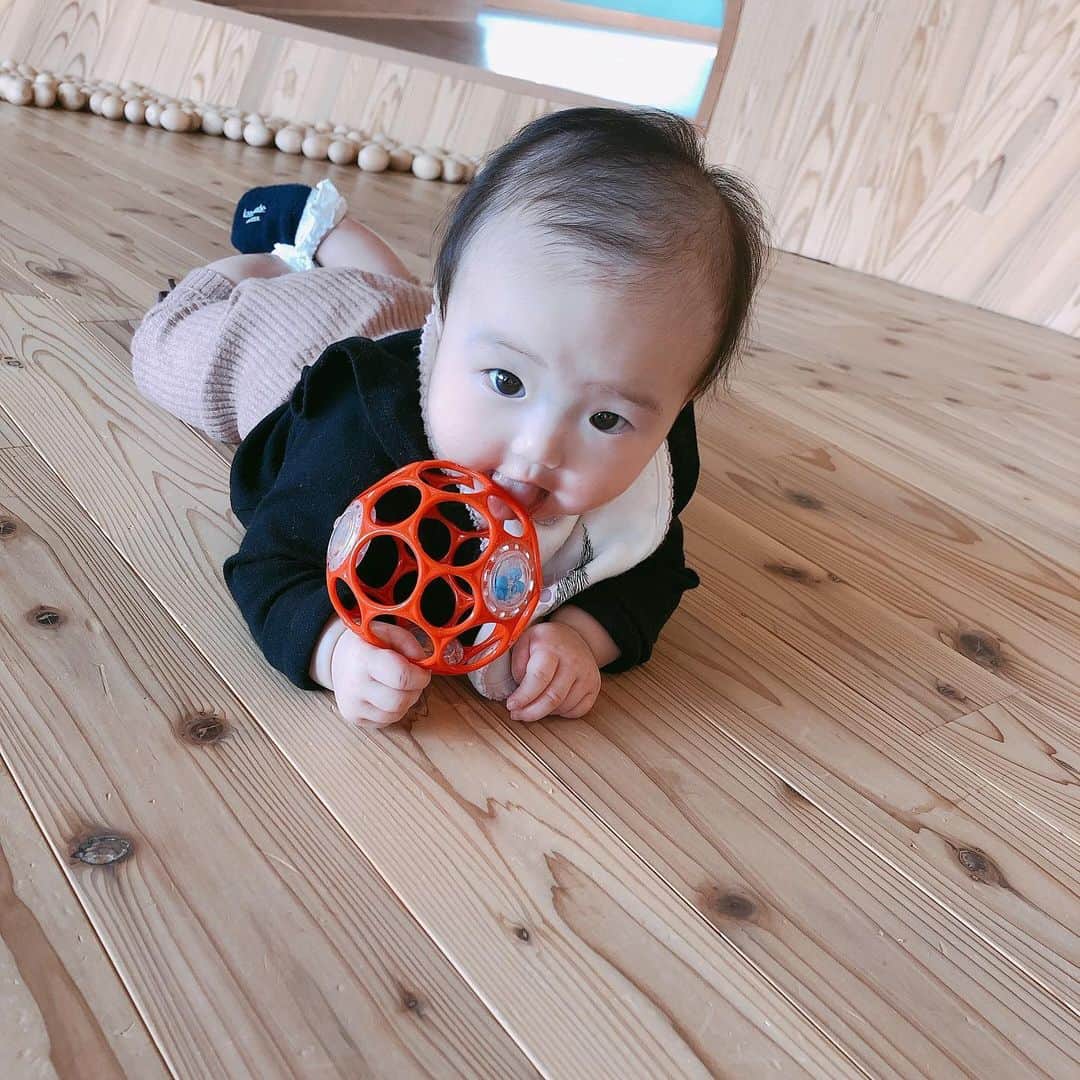 畠中清羅 のグルメインスタ