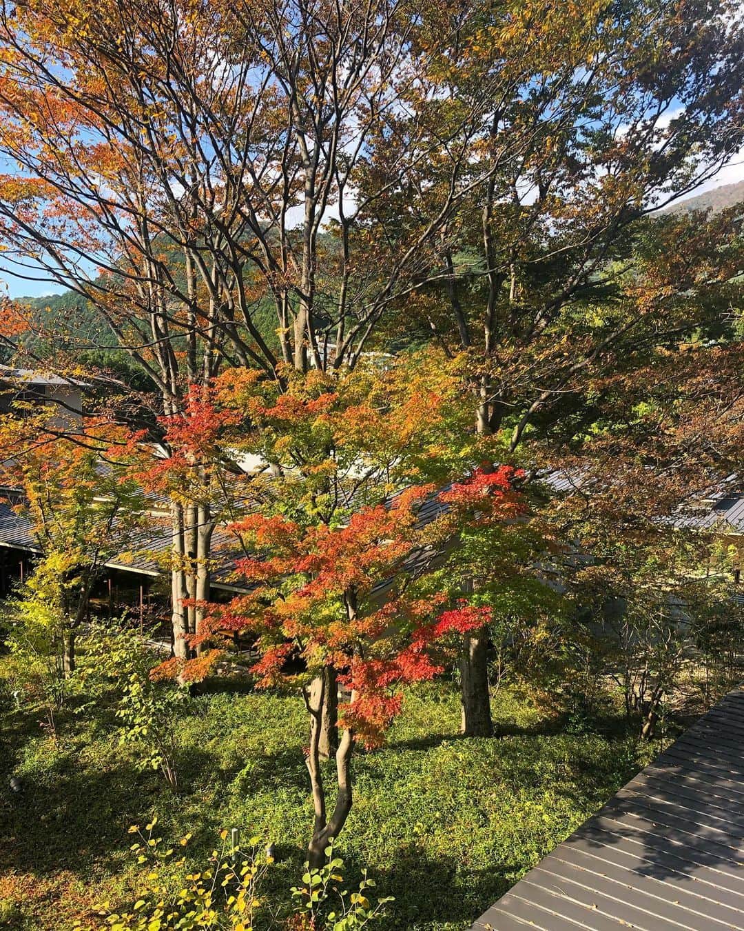 山田あかりさんのインスタグラム写真 - (山田あかりInstagram)「この間の旅行の写真(ﾉ´▽｀)ﾉ♪﻿ 今年は紅葉が少し遅いみたいだけど景色が凄く綺麗だったよ🥰﻿ ﻿ 鬼怒川温泉でつるつるのお肌になって美味しい空気吸って、美味しいご飯たべて楽しかった🥺♥️﻿ ﻿ 写真はお部屋からの景色🥰﻿ ﻿ 着てるTOPS＆skirt﻿ @attrangs_japan﻿ ﻿ プチプラ通販✨﻿ キャンペーンやクーポンなどで更に安くgetできるからお財布に優しいの🥺﻿ 毎週色々な参加系キャンペーンがあって、ショッピング以外にも楽しめるものが沢山😍﻿ ネットショッピングで困った時も、営業時間内ならLINEやサイトのHELPからリアルタイムで1:1お問い合わせも出来るから安心だよ(ﾉ´▽｀)ﾉ♪﻿ ﻿ ﻿ ﻿ #いいね #いいね返しは絶対 #좋아요반사 #좋아요태러 #인친황영  #韓国通販 #韓国ファッション #アットランス #ATTRANGS #ATTRANGSJAPAN #PR #韓国 #ファッション好きな人と繋がりたい #ファッションコーデ #ニット #タイトスカート #韓国コーデ #星野リゾート #星野リゾート界鬼怒川 #紅葉 #鬼怒川温泉 #鬼怒川 #旅行 #旅行好きな人と繋がりたい #白ニット #セットアップ #温泉旅行」11月1日 19時08分 - akari030201