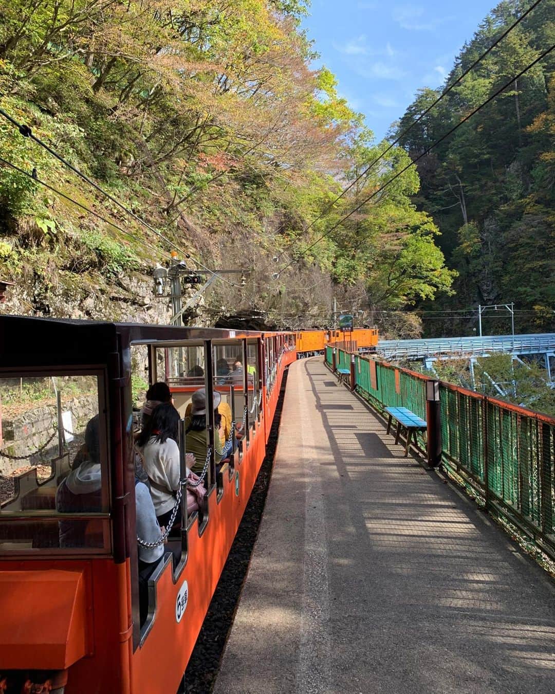 石井里奈さんのインスタグラム写真 - (石井里奈Instagram)「こんばんは😳❤️ . ストーリーズでも少しあげてましたが、富山県からご招待頂き、ゆきちゃんと初富山旅行にきています🥺✨ . 富山って何があるのかな？ってワクワクしていったら、本当に想像以上に素晴らしくて知らない魅力がたっくさん🥺✨ . 特に今日行った黒部渓谷鉄道トロッコ列車に乗って行く渓谷絶景旅は本当に感動🥺💕まさに日本のプリトヴィッツェ！紅葉も始まってて本当に綺麗でした〜😭✨❣️ . 来てよかったって思えるまさに観光名所🥰なかなかトロッコに乗ることもないのでとっても新鮮でした☺️💕 . これは動画の方が良さ伝わると思うので動画たくさんあげとくね❣️ . 他にも色々とにかく富山すごい！笑 . また更新していくね💕 今週もお疲れ様でした🐑❣️ . #富山県 #富山 #富山観光 #富山旅行 #旅行 #旅 #国内旅行 #旅行好き #観光 #北陸 #北陸旅行 #travel #trip #タビジョ #visitjapan #japantrip #travelgram #sightseeing #絶景 #紅葉 #自然 #nature #bridge #トロッコ #黒部峡谷トロッコ電車 #黒部峡谷 #黒部ダム #黒部」11月1日 19時11分 - ri7tin1025