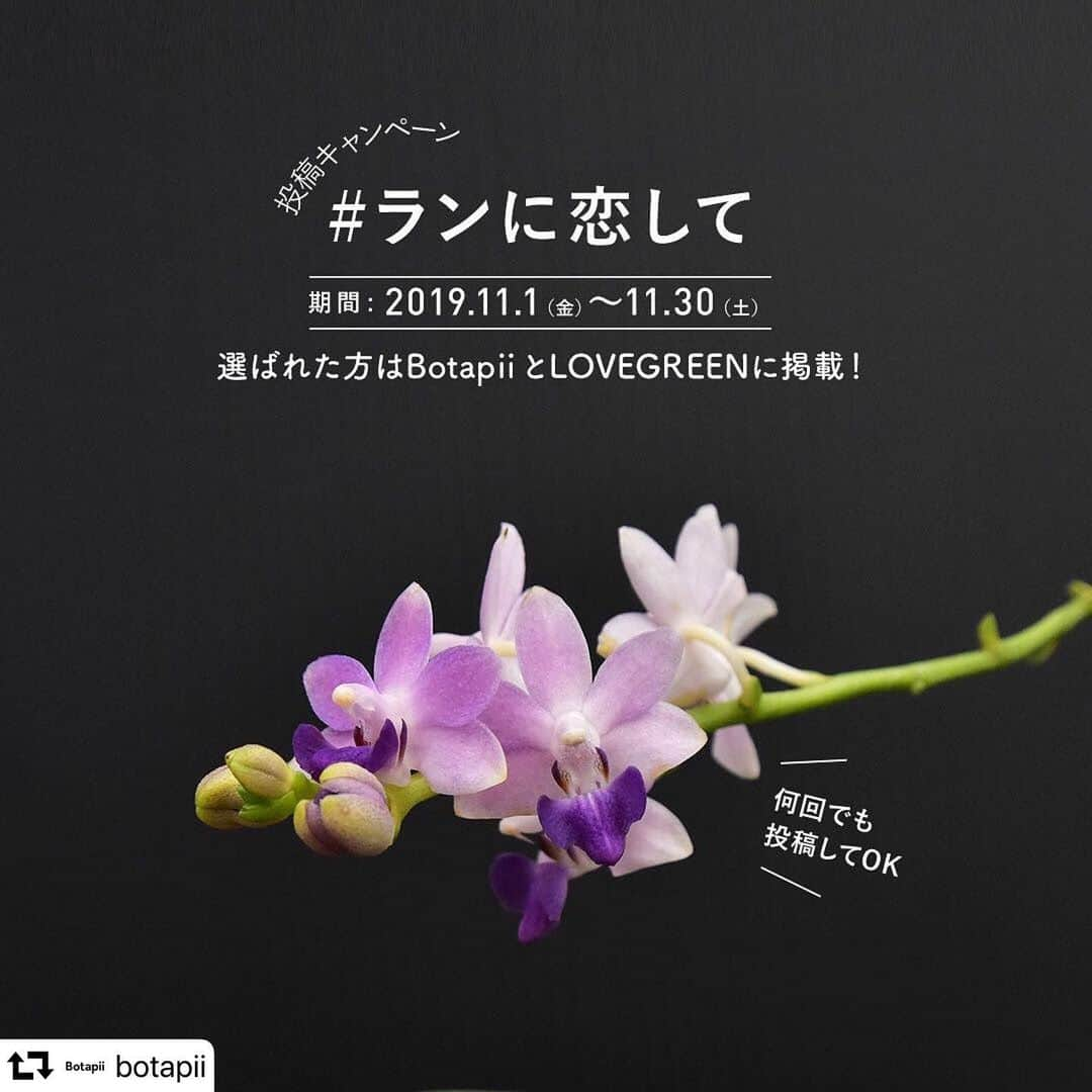 LOVEGREEN -植物と暮らしを豊かに。のインスタグラム