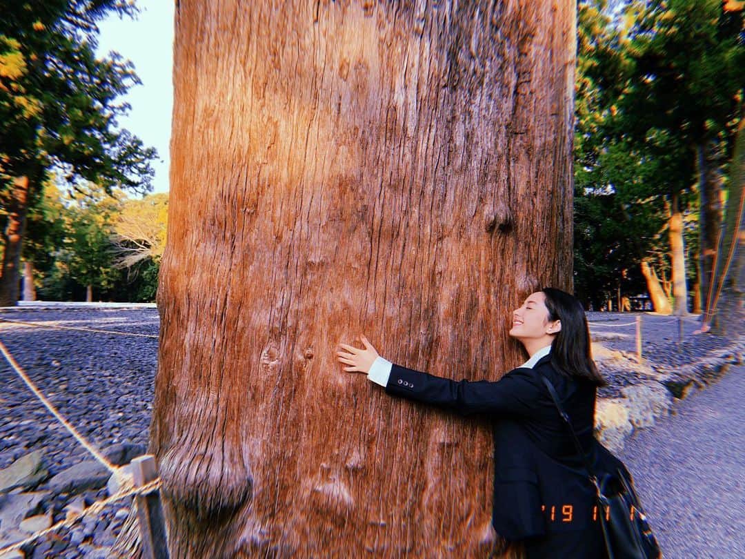 平祐奈さんのインスタグラム写真 - (平祐奈Instagram)「あっという間に11月ですね🗣 令和元年もあと少し。 たくさん食べてたくさん寝て、この木のようにすくすくと大きくなりましょう💪  今月もみなさんが健やかに過ごせますように。☘️」11月1日 20時06分 - yunataira_official