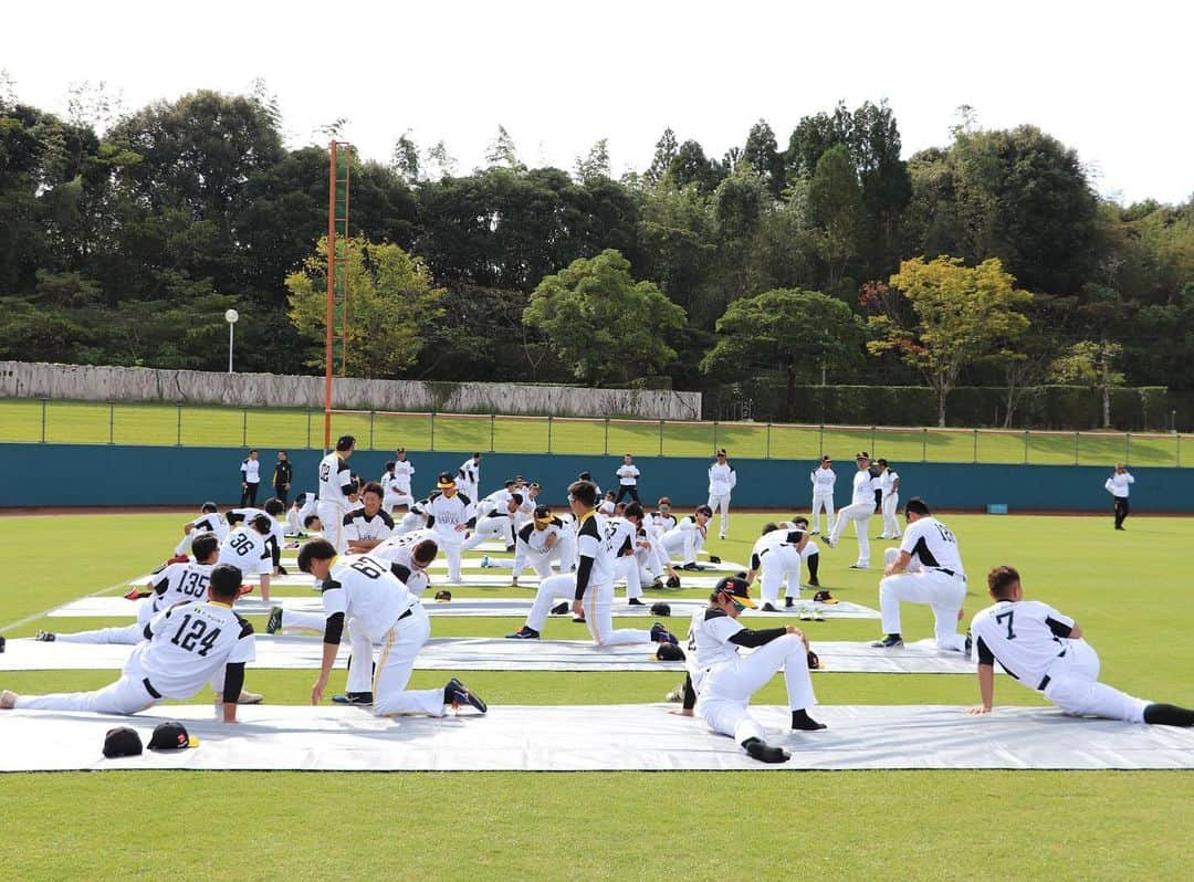 福岡ソフトバンクホークスさんのインスタグラム写真 - (福岡ソフトバンクホークスInstagram)「#宮崎秋季キャンプ2019 #第1クール1日目 #softbankhawks #ホークス #奪sh」11月1日 20時00分 - softbankhawks_official