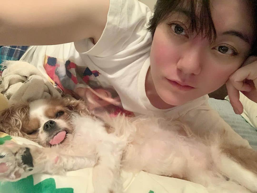 鈴木杏さんのインスタグラム写真 - (鈴木杏Instagram)「稽古の日々なので、ダンデとの写真しかない😂😂😂明日は「TOKYOアスリート」競泳、再放送です！🏊🏻‍♂️🏊🏻‍♂️🏊🏻‍♀️🏊🏻‍♂️🏊🏻‍♀️🏊🏻‍♂️🏊🏻‍♀️　#ダンデ#キャバリア #イヌスタグラム#稽古#日々#キレイ#大人計画#Bunkamura#歌#踊り#盛り沢山#毎日#あっという間#幸せ#TOKYOアスリート#再放送#競泳#ナレーション」11月1日 20時19分 - anne.suzuki.official