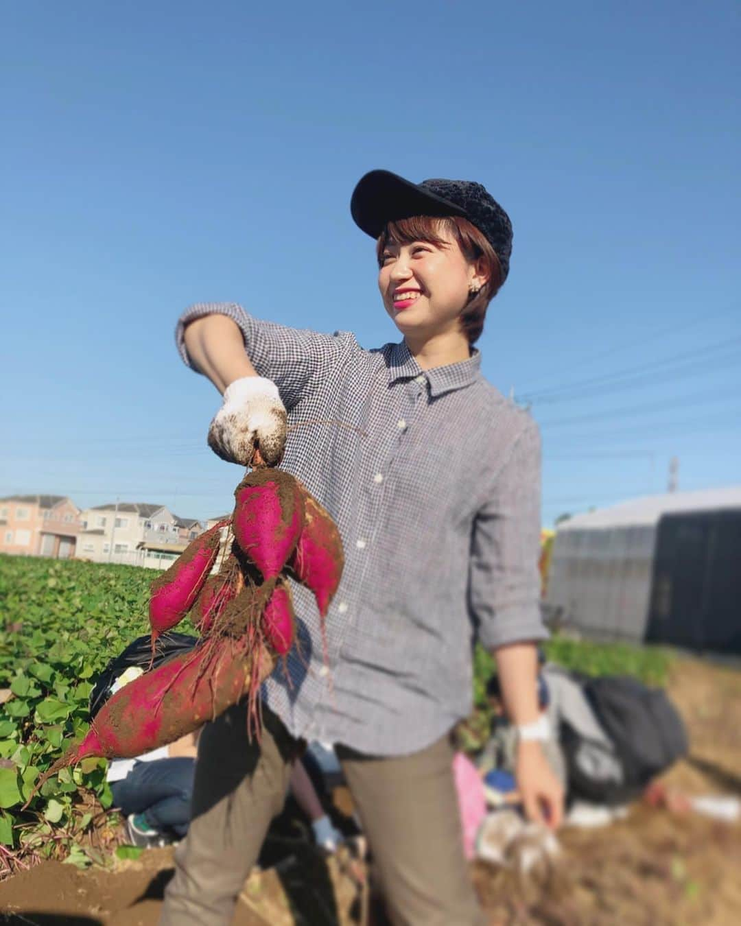 渡辺梨夏子さんのインスタグラム写真 - (渡辺梨夏子Instagram)「秋の味覚狩りに川越まで☺️ 想像以上の大収穫‼︎ 焼き芋大会したいな〜〜🙌 #秋晴れ#秋旅 #川越#小江戸#味覚狩り #芋掘り#いもほり  #さつまいも#ヒメアヤカ」11月1日 20時50分 - riiiico462