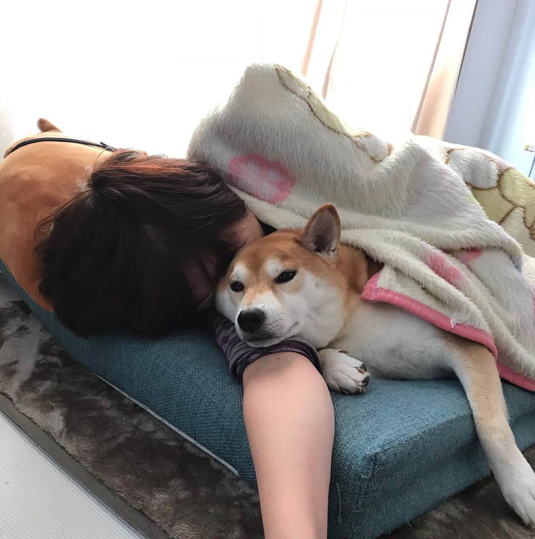 高橋みゆきのインスタグラム：「今日のお昼寝はクラ吉と🐶💕寒くなってくると、これ本当暖かいのよ😊 #クラ吉 #心ノ祐寝てる間に #可愛い🐶」