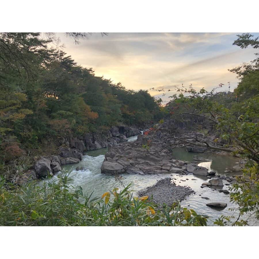 三宅絹紗さんのインスタグラム写真 - (三宅絹紗Instagram)「厳美渓🍃 . 先日東京から遊びに来てくれた友人と行ってきました😌 映画に出てきそうな雄大な景色と空気の美味しさ💯✨ 写真はカメラ好きの友人が一眼で撮ってくれました🙇🏻‍♀️🙏🏽 #厳美渓 #歩くだけで楽しい #一関 #岩手#自然 #めんこいテレビ#アナウンサー #三宅絹紗 #nature#picturesque#stunning#view」11月1日 22時05分 - kinusa_miyake_mit