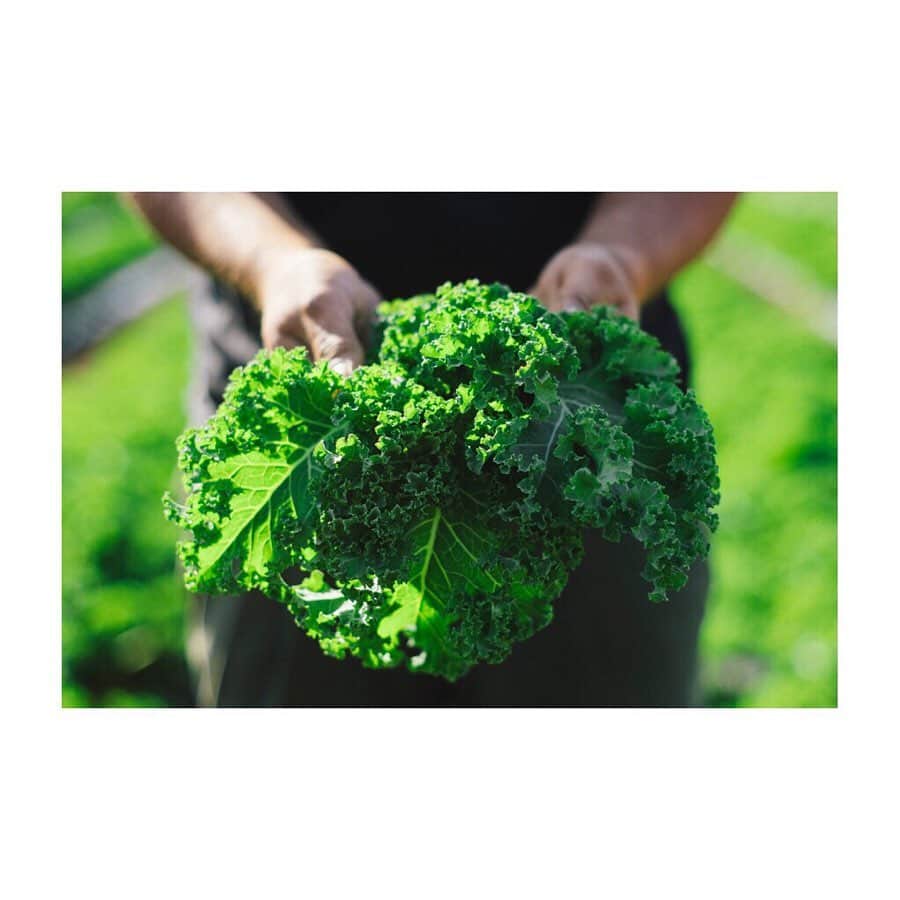 ellecafejapanのグルメインスタ