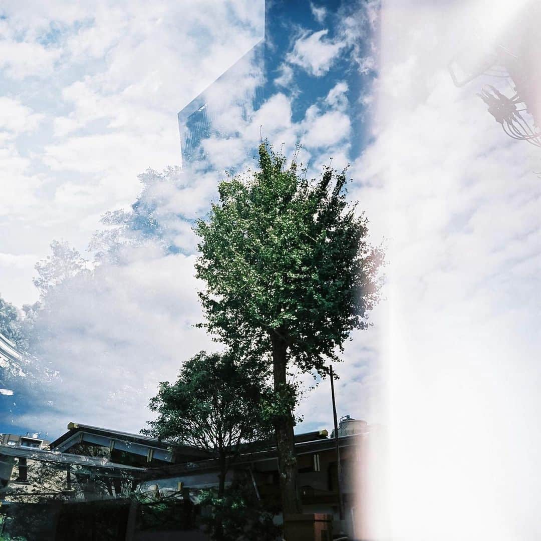 小宮山桂のインスタグラム：「#LCA120#PRO400H#lightroom」