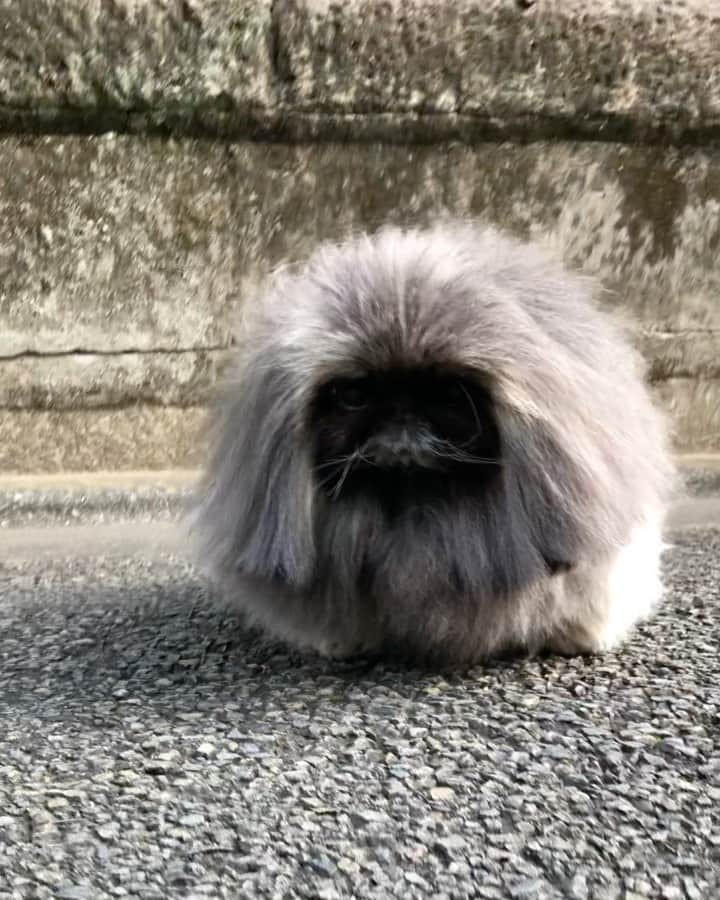 宮田和弥のインスタグラム