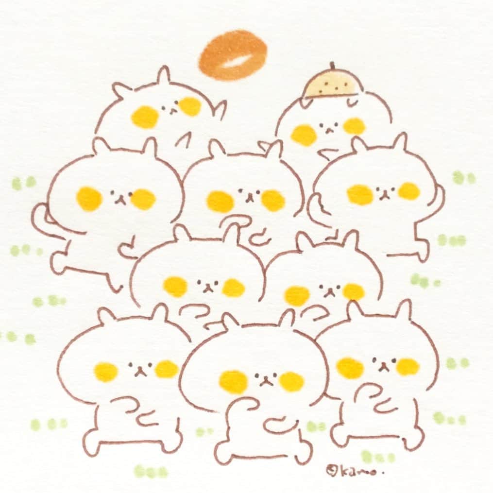 カモのインスタグラム