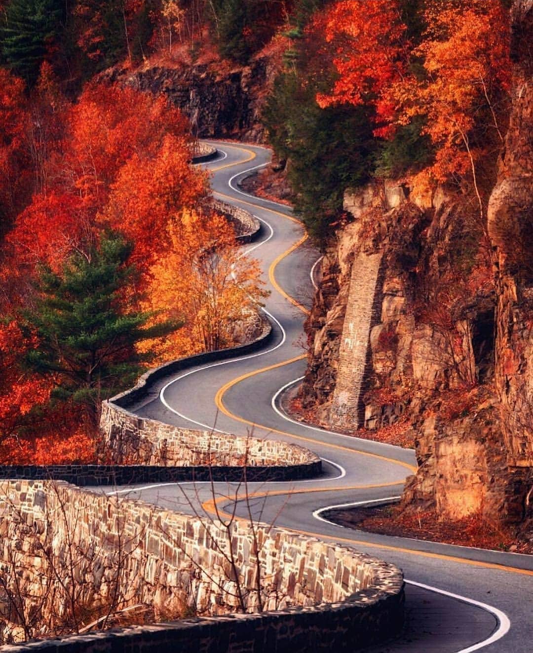 wonderful natureのインスタグラム：「Photo by @mattrigoliniphotography check out his feed for more」