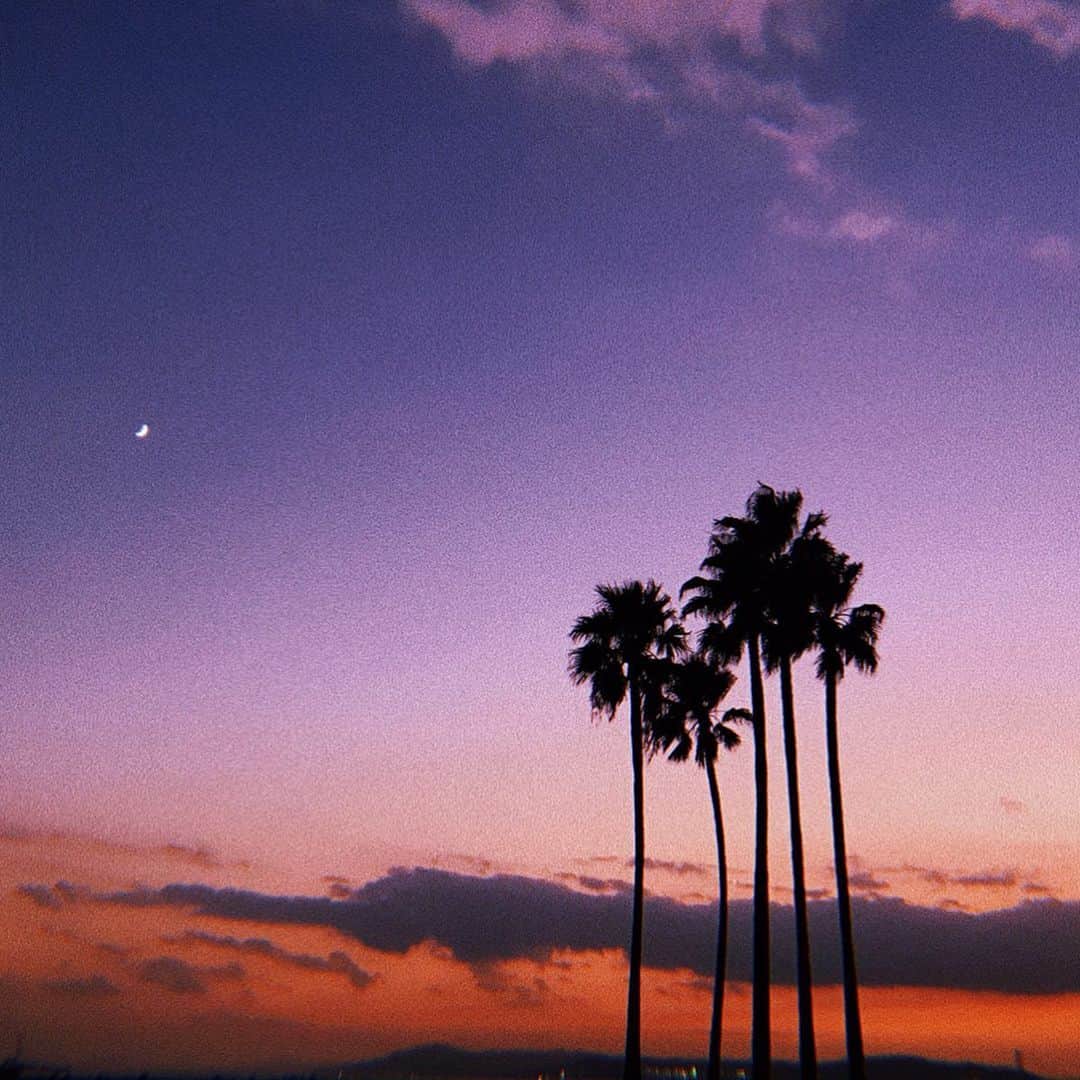 月島桃花のインスタグラム：「今日の月と星🌙 この時期は肌寒いけど星が綺麗にみえて 空気が澄んでいて好きだ 山の空気と海の空気が混ざりあって ここでする深呼吸で心まで浄化される🌿 . 夏のハイシーズンとはまた違う須磨の海の良さを 皆さんに知って頂きたい！ 是非 明日からの2日間の須磨ビーチマルシェ 遊びに来てください❤︎ . 私はレモネード屋さんに 11/2(Sat)1日目am10:00〜pm18:00までいます 地元の須磨離宮公園の養蜂場のハチミツを たっぷり使ったレモネードをお作ります🍋 お子さんやビターな味が苦手な方のために レモンピールなしのシロップもご用意しましたよーー❤︎ . Music & Food & Workshop & Market コンテンツ盛りだくさんなイベントですので 皆さま 是非 一緒にたのしみましょう💜 @suma_beach_marche」