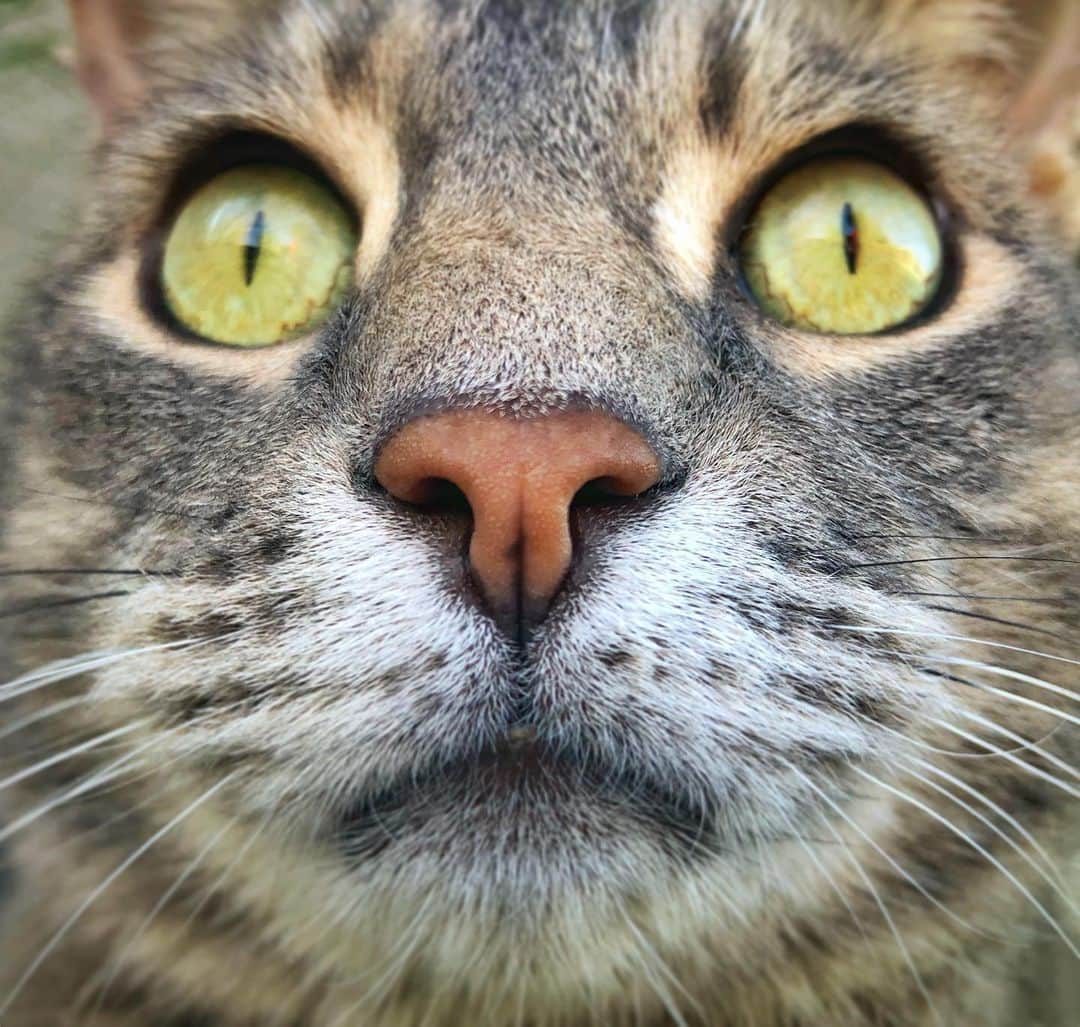 マニーのインスタグラム：「🙀」