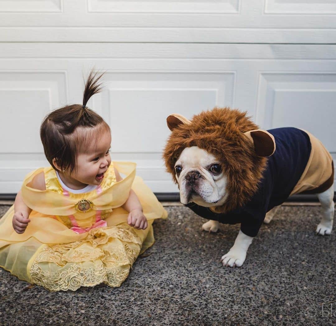 Sir Charles Barkleyさんのインスタグラム写真 - (Sir Charles BarkleyInstagram)「He knows this won’t be the last time him and his sissy will be coordinating costumes. Hope everyone had a sweet #Halloween! #BeautyandtheBeast 🥀」11月2日 5時10分 - barkleysircharles