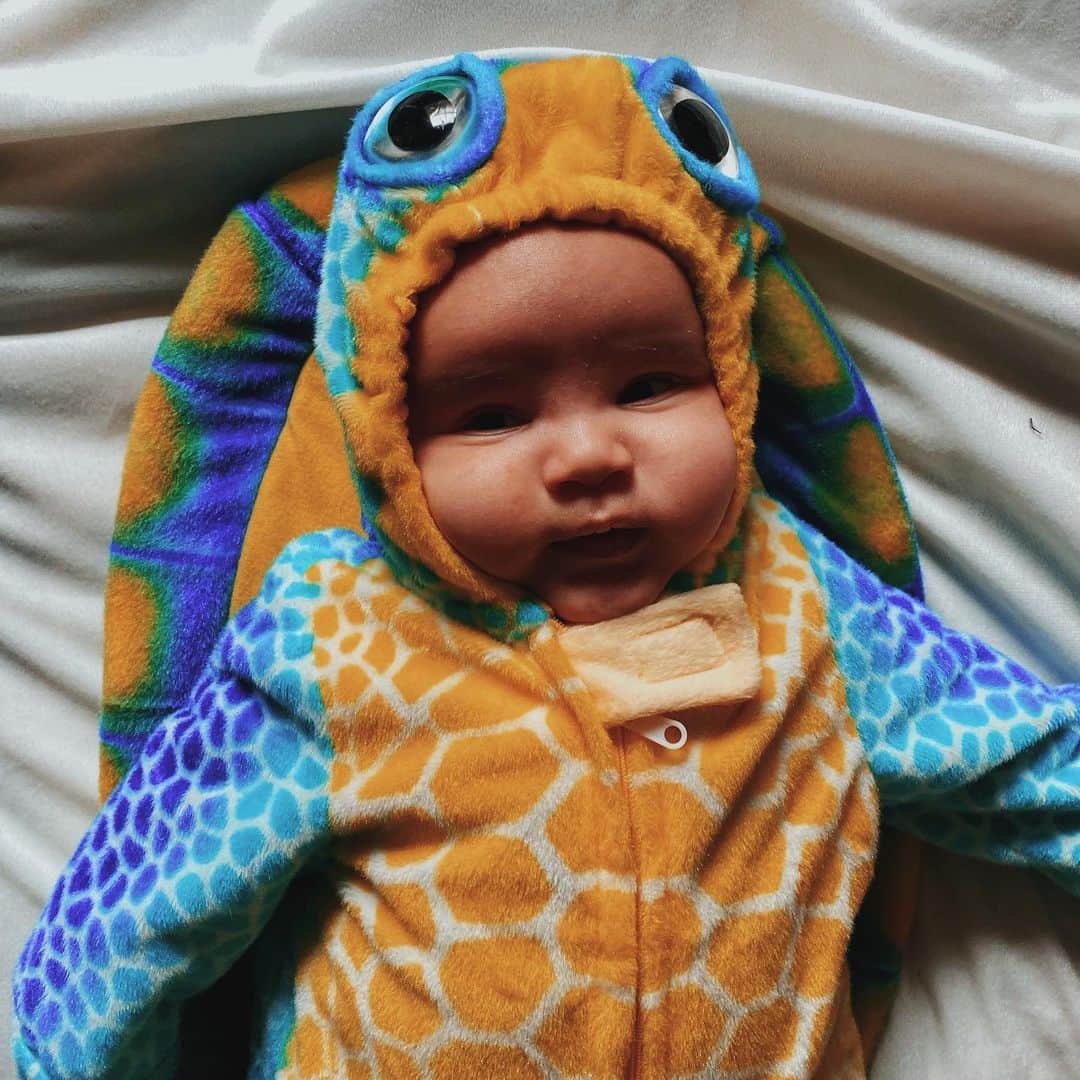 Paul Octaviousのインスタグラム：「Sebi the Tiny Turtle 🐢❤️」
