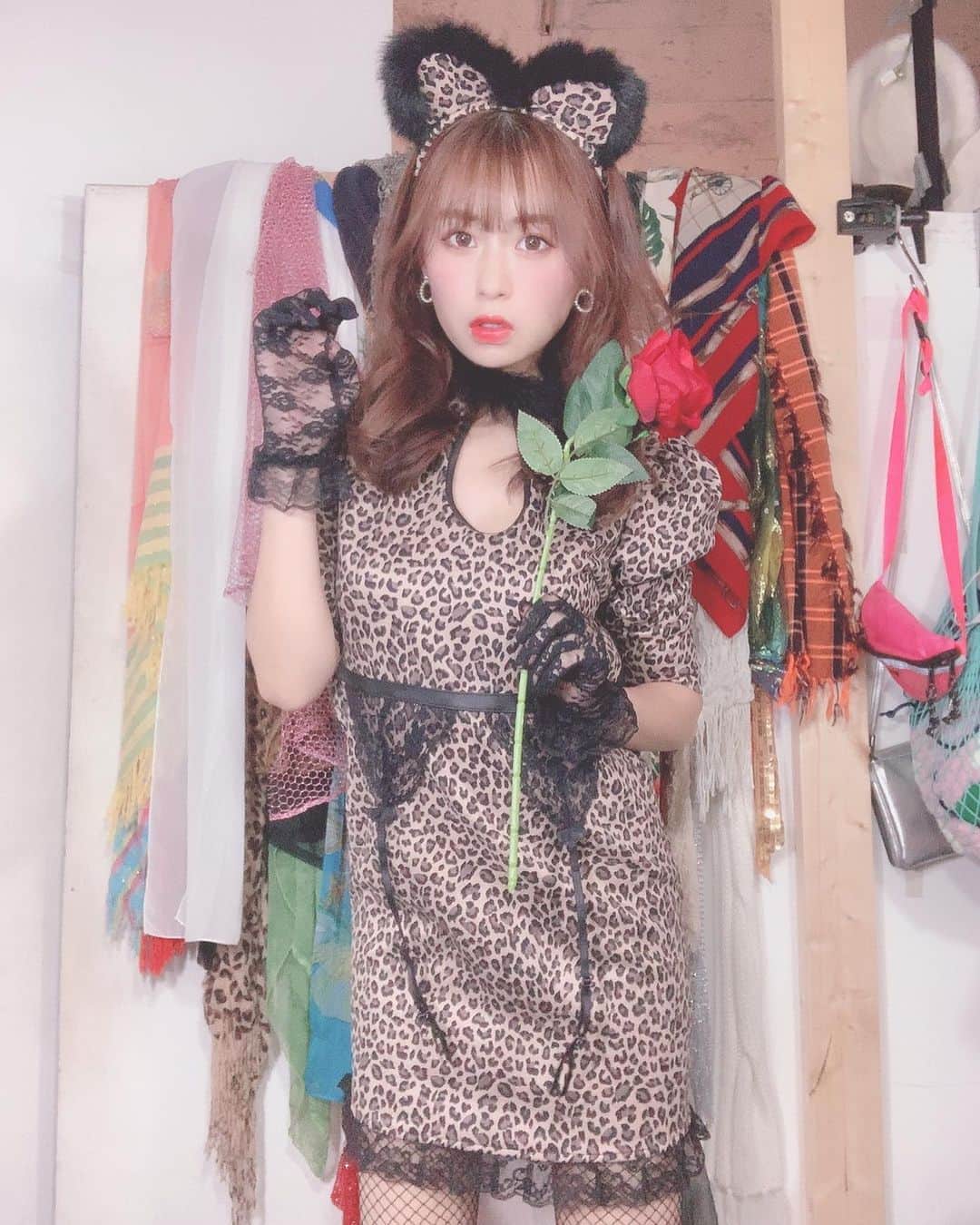 のインスタグラム：「今年のハロウィンはいろんなコスプレ着ることができて満足❤️❤️🐰 @swankiss_official  @bodyline_tokyo  #レースクイーン #アイドル #グラビア #コスプレ #ハロウィン #仮装 #スワンキス #ボディライン #アニマル #ヒョウ柄 #rq #idol #Halloween #swankiss #bodyline #l4l #love」