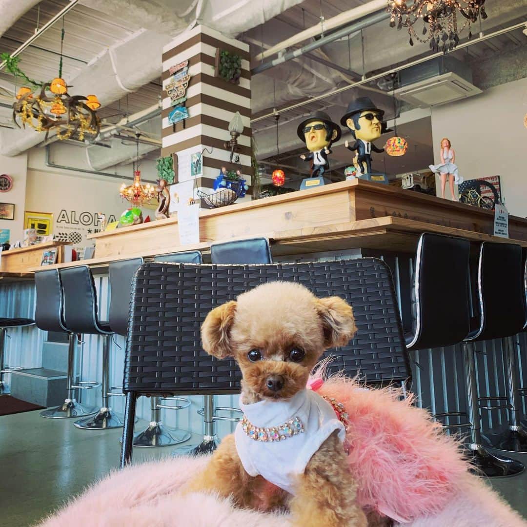 ? Tia ?のグルメインスタ