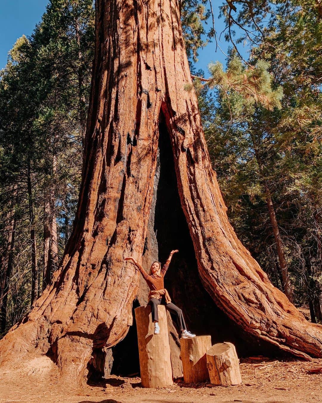植野有砂さんのインスタグラム写真 - (植野有砂Instagram)「Finally made it to Sequoia !!🌳🌲🌳🌲giant trees, squirrels 🐿 and fresh air were so refreshing✨thanks to the mother nature 🙏🏻✨念願のセコイア✨😭ナショナルパークは遠すぎて断念笑ナショナルフォレストに行きました！とにかく木の大きさがすごくて自然の偉大さに感動😭✨✨✨かなりエネルギーもらいました☀️空の色も信じられないくらい青かった〜！もっともっと自然に感謝して大切にしないと🙏🏻まだまだ画像あるのでまた載せます❤️ #sequoia #セコイア」11月2日 18時15分 - alisaueno