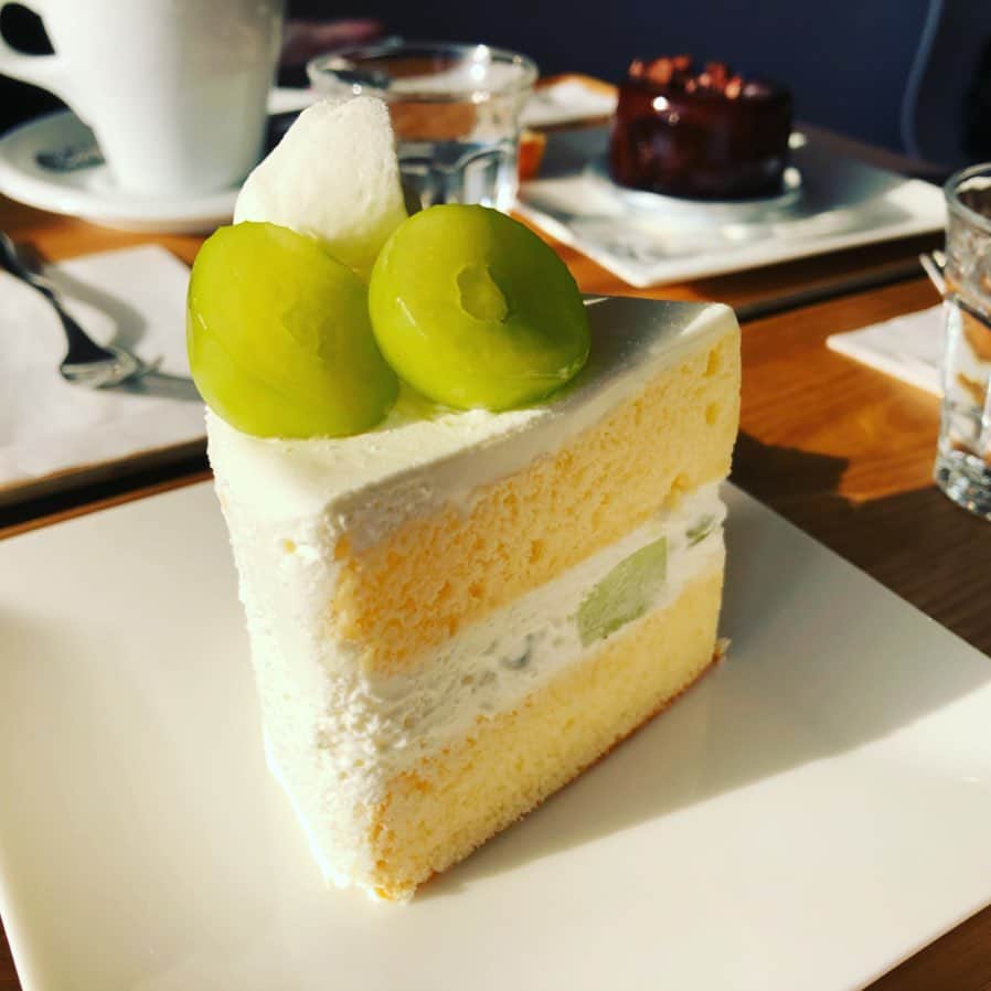 南早苗のインスタグラム：「むふふ💕  #無類のショートケーキ好き #シャインマスカット #無類のと言いながら #奥にちらりと写るツヤッツヤのチョコのケーキも好きだったりする #シェアさせてもらいました #ケーキ充電完了#remref」