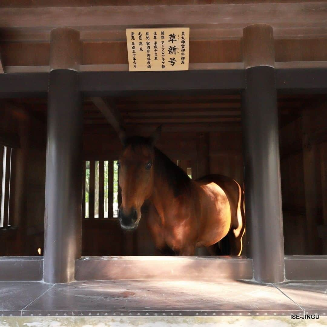 伊勢神宮のインスタグラム