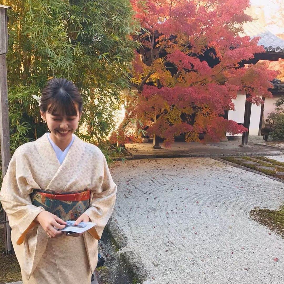 ᴱᴸᵞさんのインスタグラム写真 - (ᴱᴸᵞInstagram)「𝓃ℴ𝓋ℯ𝓂𝒷ℯ𝓇 . . 𖥧 𖥧 ㅤㅤㅤㅤㅤㅤㅤㅤㅤㅤㅤㅤㅤ もう11月だなんて早すぎ。 今年も紅葉見にどこか行きたいなぁ🍁 . #kyoto #kimono #japan #京都 #着物 #和装 #はんなり #紅葉 #紅葉狩り #秋」11月2日 11時41分 - diary___ely