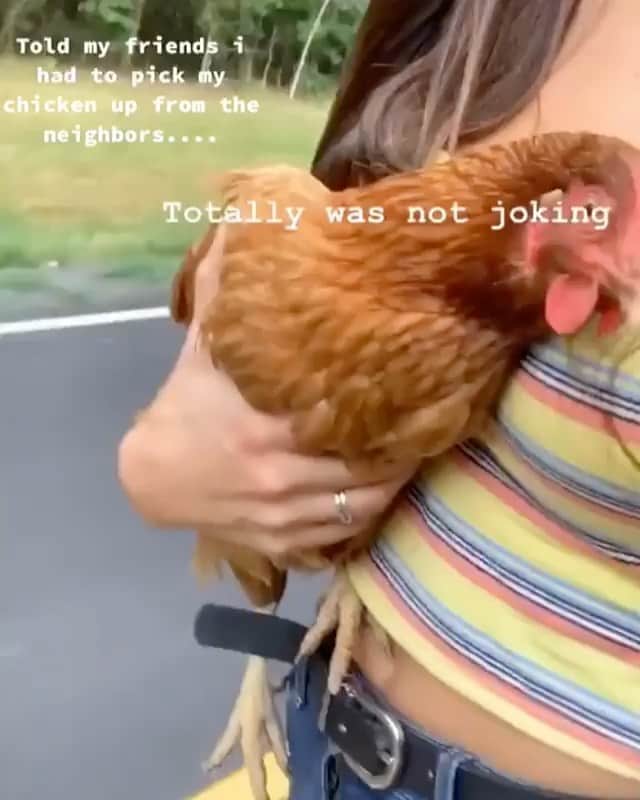 のインスタグラム：「“BRB.. Got to go get the chicken!” 📹 @traziarae . Follow @bestofbviral for more amazing viral videos. . . #chicken #petchicken #funny #skateboard #lol #random #friendly #animals #comedy」