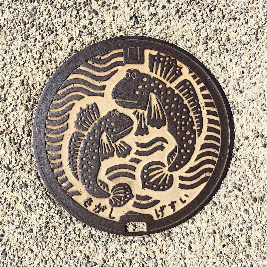田中要次のインスタグラム：「佐賀市のむつごろうマンホール」