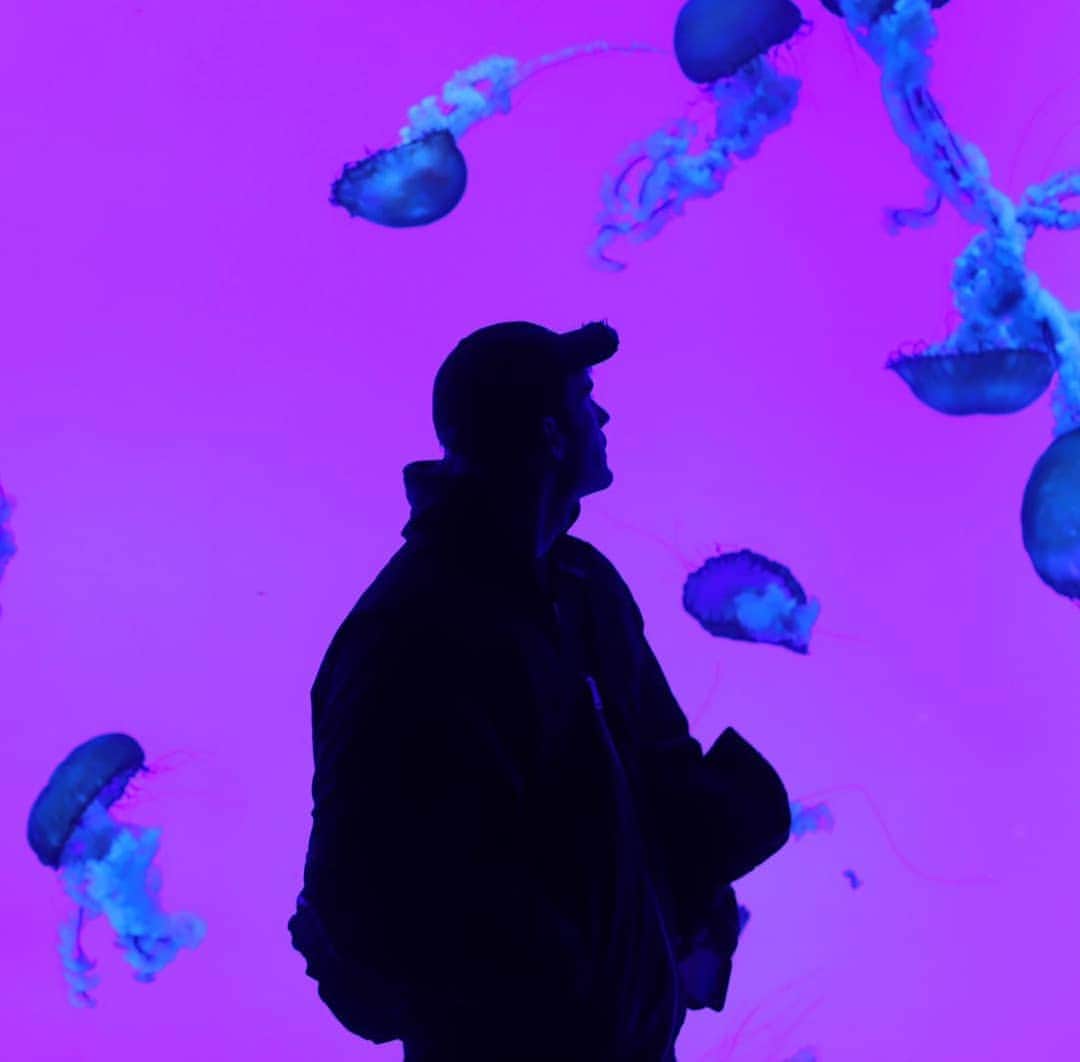 ピューディパイのインスタグラム：「Jellyfish emoji」