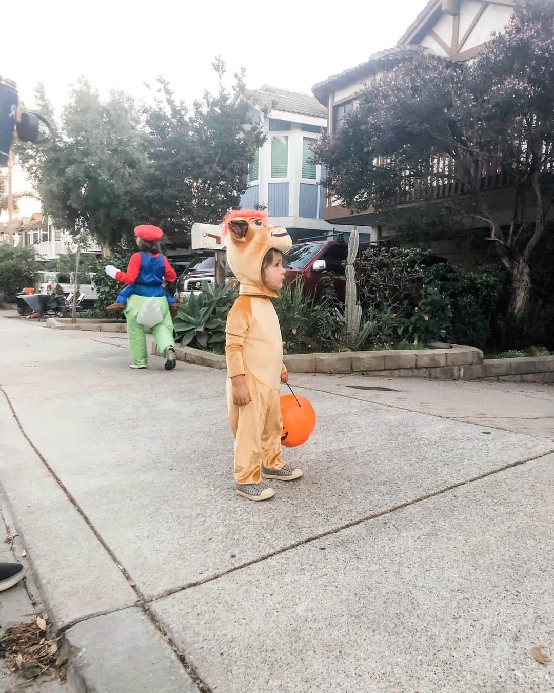 クリスティン・ヒルデブランドさんのインスタグラム写真 - (クリスティン・ヒルデブランドInstagram)「Happy Halloween from our little Simba 🦁🦁🦁🦁🦁 🍬🍫🍭🍬🍫🍬🍭make sure you scroll through to hear him roar 😉🥰 #thelionking #happyhalloween🎃」11月2日 12時55分 - _kristinhildebrand