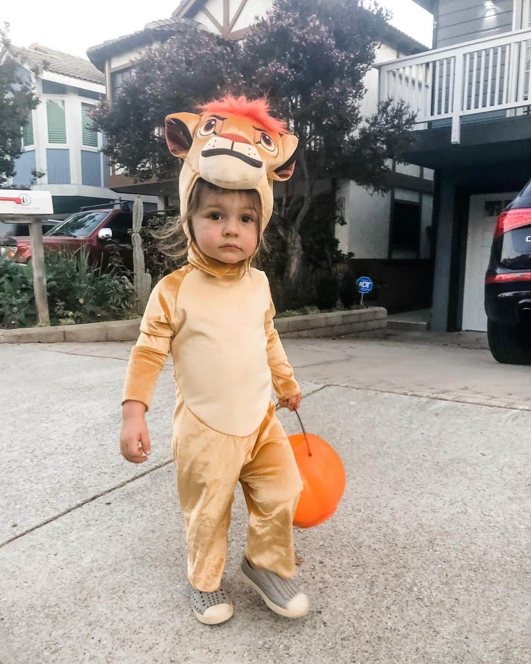 クリスティン・ヒルデブランドさんのインスタグラム写真 - (クリスティン・ヒルデブランドInstagram)「Happy Halloween from our little Simba 🦁🦁🦁🦁🦁 🍬🍫🍭🍬🍫🍬🍭make sure you scroll through to hear him roar 😉🥰 #thelionking #happyhalloween🎃」11月2日 12時55分 - _kristinhildebrand