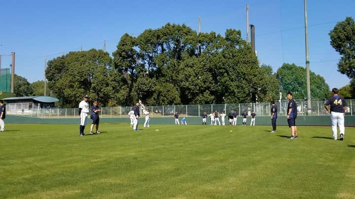 オリックス・バファローズのインスタグラム