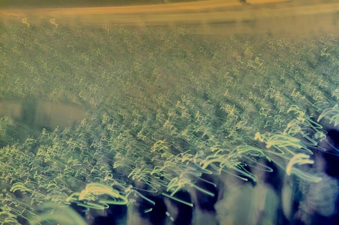 直井由文さんのインスタグラム写真 - (直井由文Instagram)「NAGOYA DOME #auroraark Photo by Shun Komiyama」11月2日 16時38分 - boc_chama_9
