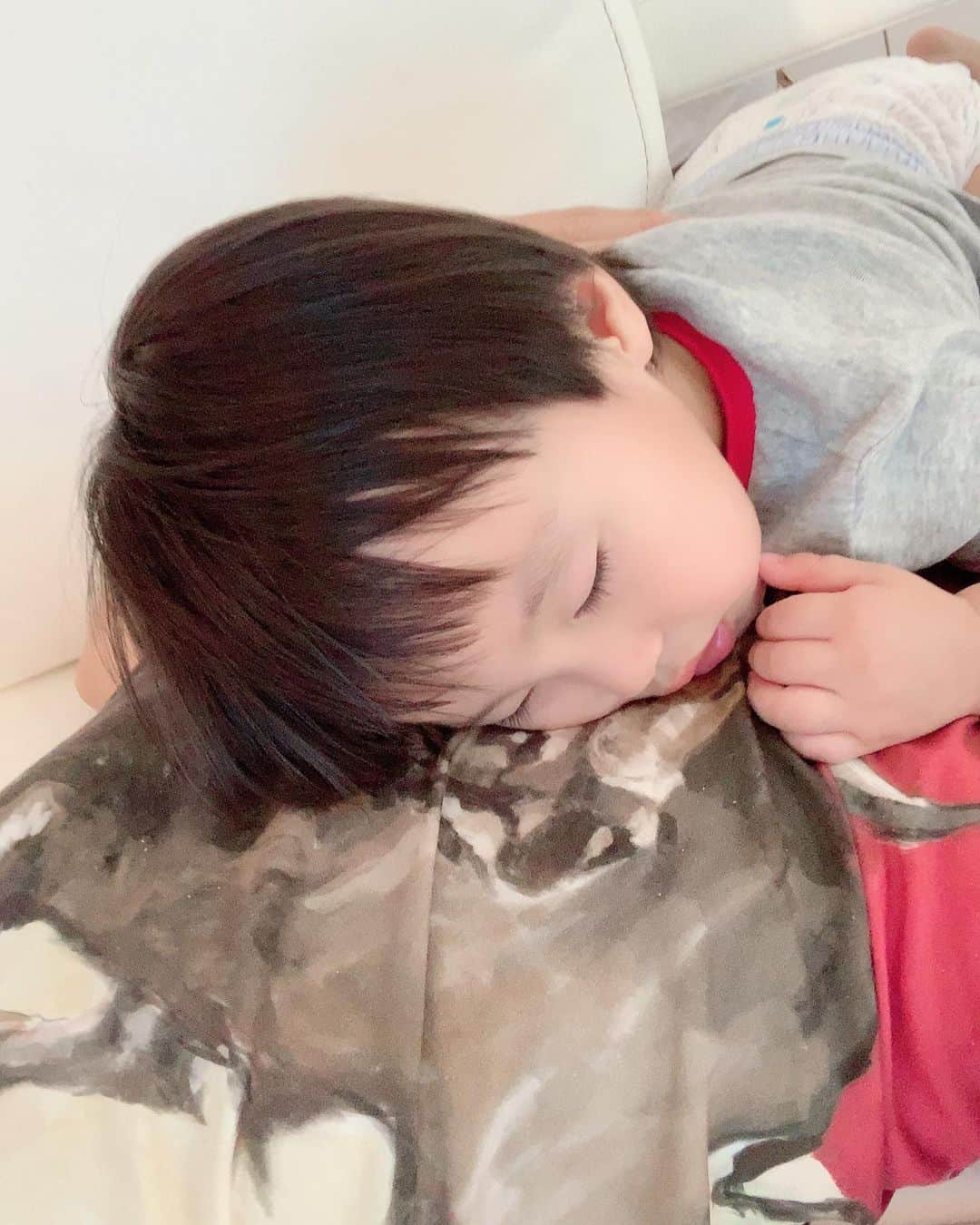 アレクサンダーのインスタグラム